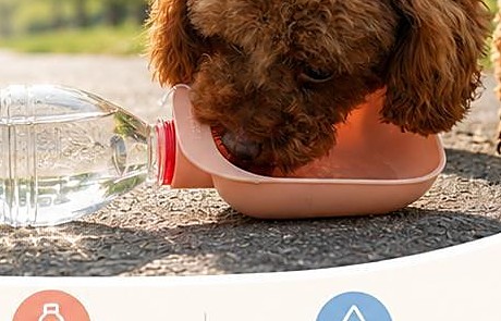 Outdoor Water Feeder