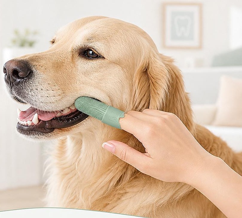 Silicone Pet Finger Toothbrush